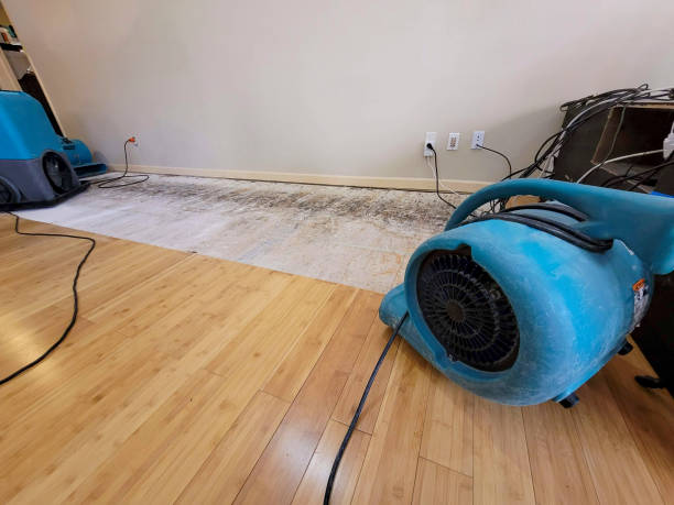 Professional Water Damage Repair technician working in Genesee Depot, WI